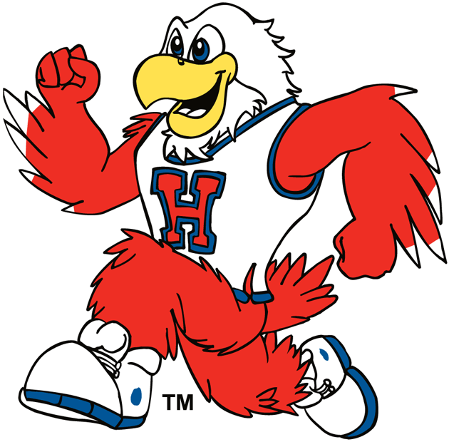 Hartford Hawks 1984-Pres Mascot Logo t shirts iron on transfers